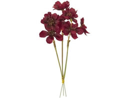  RXXsbN #7 DKBU _[No[KfB 3{