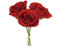  veBJ[YsbN #3 bh 3{ FM008659-003