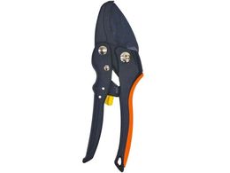 󍁍H AVXg@\t  DX #192468