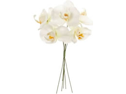  veBt@msbN #1 zCg 6{ FM000757-001