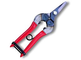 AXR[|[V ̉ BP 310-BP