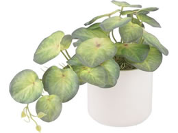 sf tFCNO[ VSjE Z~bN|bg 41137