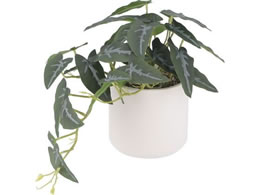 sf tFCNO[ AJVA Z~bN|bg 41138