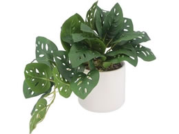 sf tFCNO[ Xe Z~bN|bg 41139