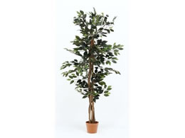 sf ϗtA tBJX 690 A 52661