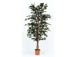 sf ϗtA tBJX 1124 A 52662