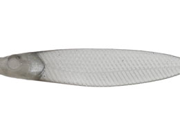 issei CA~m[tbgTJiTJi 3.8 #64 AKX[N