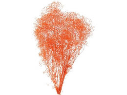  vU[uht[ ~jJX~ TS 24g