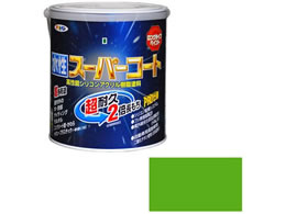 �A�T�q�y�� �����X�[�p�[�R�[�g 1.6L �ᑐ�F