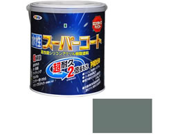 �A�T�q�y�� �����X�[�p�[�R�[�g 1.6L ���C�g�O���[