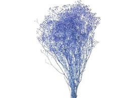  vU[uht[ \tg~jJX~ u[x[