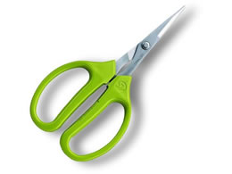 AXR[|[V V[vNtg n 330S-T