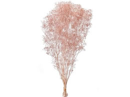  vU[uht[ \tg~jJX~ 22g sNO[v