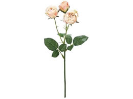   ReCO v}fB[Y #6 PEACH