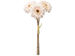   Vr[K[xoh 3{ #13 CR BE