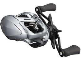 _C 21 At@X SV TW800XHL