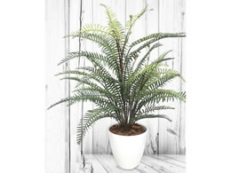 TTK lHϗtA ^}V_ MTCY 100