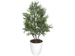 TTK lHϗtA eB[[t MTCY 70