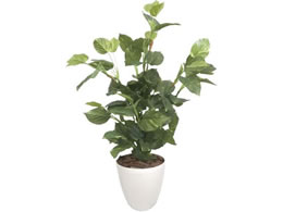 TTK lHϗtA }l[c[|gX LTCY 110