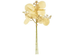   r^[[Joh 3{ #37 CREAM