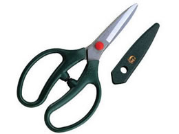 AXR[|[V GNVbN to GC-FL-18