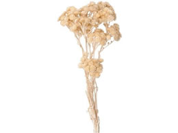  vU[uht[ \tgC[e #132 ~NeB[