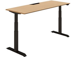 RN fXN V[NGX M Fo[ W1750 i`I[N