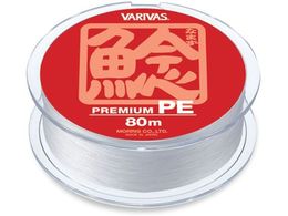 [X  v~APE 6