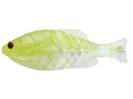 issei �M���t���b�gJr. #58 �i�`�������`���[�g