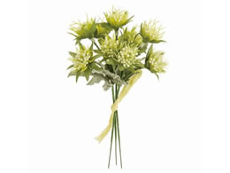   ~L[XJrITsbN 3{ YELLOW