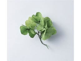 YDM vU[uht[ AWTC pbN _[NO[