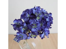 YDM  A[hnChWAoh _[Nu[