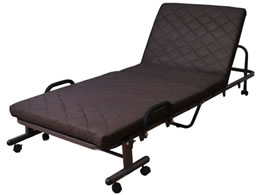 �t�@�~���[�E���C�t ���[�����N���C�j���O�x�b�h �V���O�� �u���E�� a3545910