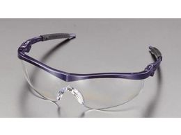 GXR ی߂ NA[ElCr[ EA800CH-2