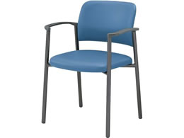 RN cpCX100 PUU[ It Œr O[r }