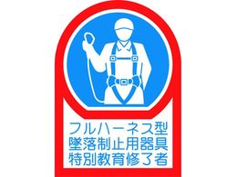 �Ώ\�� �w�����b�g�p�X�e�b�J�[ �t���n�[�l�X�^�ė����~�p�����ʋ���