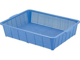 �C�P�_�@�o�b�p�J�S