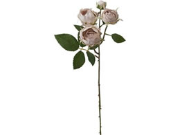 YDM  ~tB[[YXv[ Cgx_[