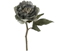 YDM  A[gsIj[V[g _[NOC