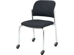 RN cpCX100 z I \tgLX^[ bLr O[