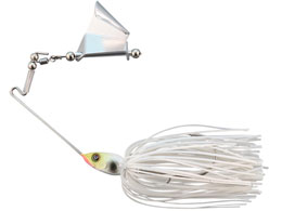 WbJ K[O 3^8oz #SKzCg