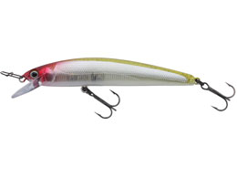 WbJ r70F #NE