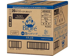 KAO rIuAnh\[v Ɩp 10L