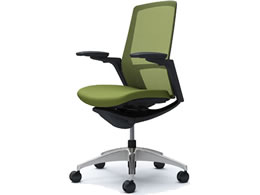 �I�J���� �t�B�m�� �n�C�o�b�N ���N�b�V���� �A�W���X�g�I �O���[�� C787BR