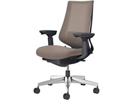 �R�N�� �`�F�A �f���I��2 �A���~�r ���b�V�� �_�[�N�O���[�W��