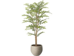 A[gNGCV i` CgglR 1.1m 61280070