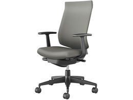 �R�N�� �E�B�U�[�h4 �n�C�o�b�N �u���b�N�V�F�� T�^�I �\�t�g�O���[(U)