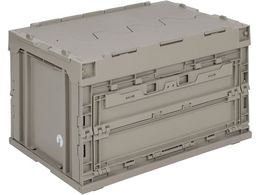 LveX^bO tbvFDRei50 J[L