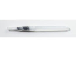 A[ebN y 012009