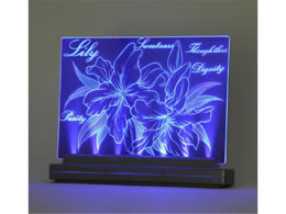 A[ebN CgXNb` A5 013347